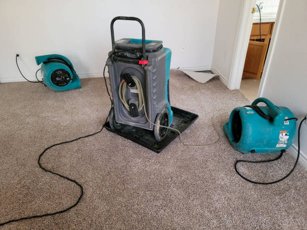 Best Flood damage cleanup  in Shelby, MI