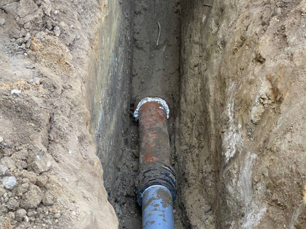 Best Emergency water damage restoration  in Shelby, MI