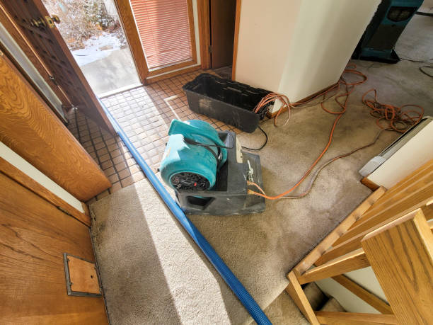 Best Residential water damage restoration  in Shelby, MI