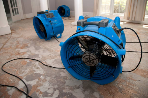 Best Water damage restoration near me  in Shelby, MI