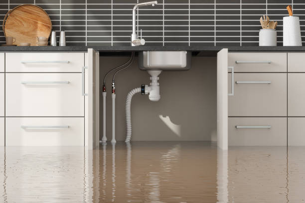 Best Basement water damage restoration  in Shelby, MI