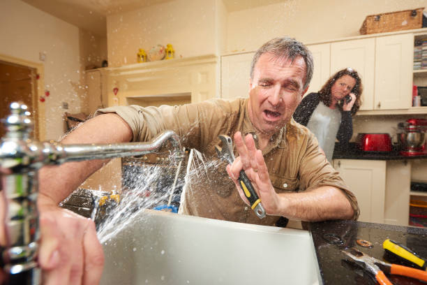 Best Fire Damage Restoration  in Shelby, MI